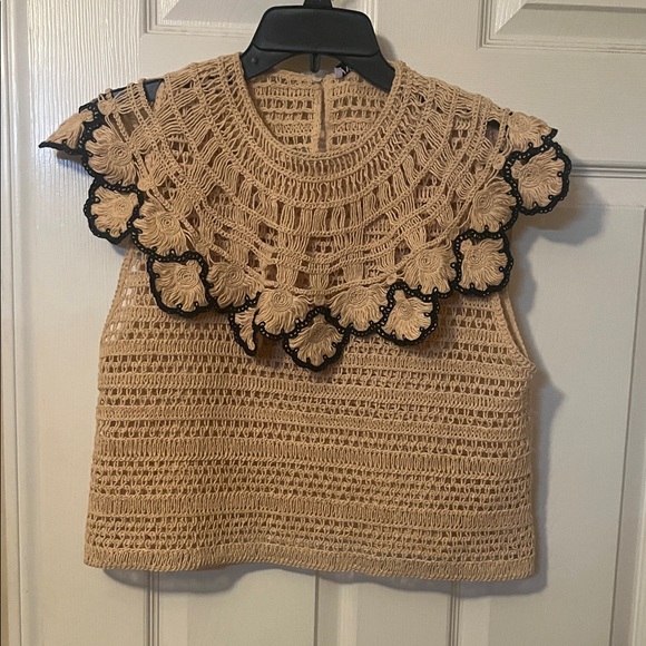 Zara Beige and Black Crochet Blouse - Picture 4 of 5